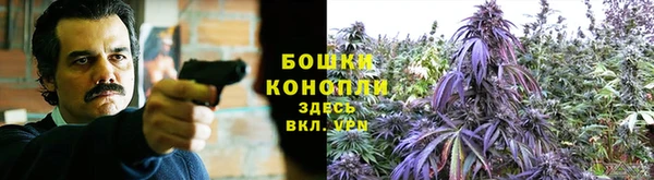 ALPHA PVP Белокуриха
