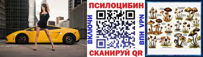 Купить закладки  Томск  Псилоцибиновые грибы прущие грибы 